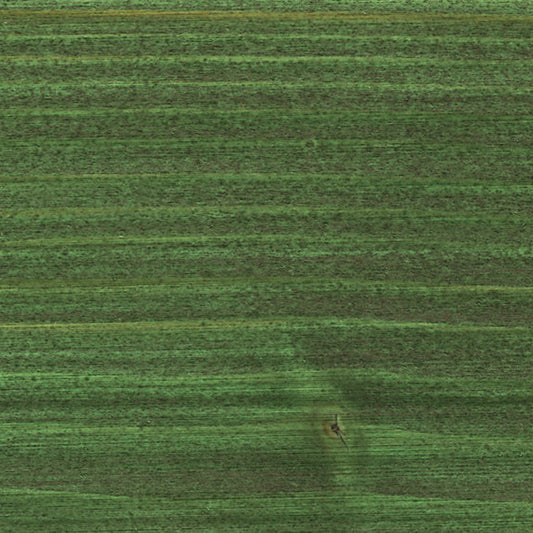 Óleo Abeto Verde Velatura para Aplicação Exterior Osmo 750ml - Ref. 729