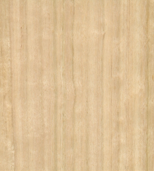 Contraplacado de Eucalipto e Choupo 15mm